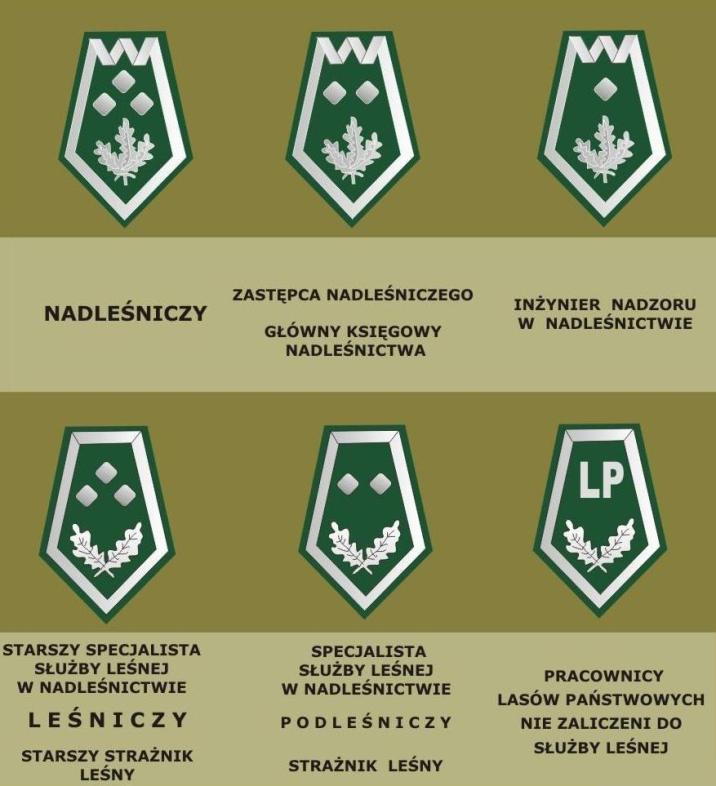 image_gallery&#x2e;jpg