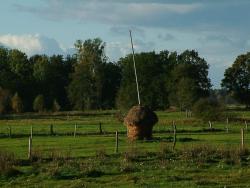 Ogryzek - Anna Krzeszowiec.JPG