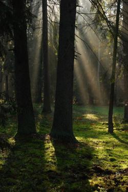 Jesień - Anna Krzeszowiec.JPG