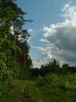 Lato w pełni - Rafał Krzeszowiec.JPG