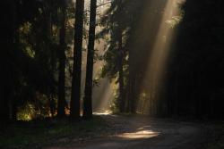 Jesiennie-Anna Krzeszowiec.JPG