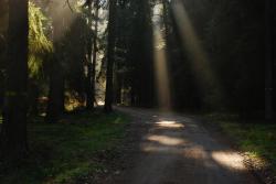 Jesienny poranek - Anna Krzeszowiec.JPG