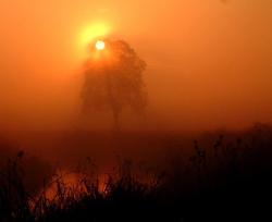 Świt - Anna Krzeszowiec.jpg