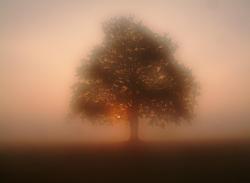 Poranne mgly - Anna Krzeszowiec.jpg