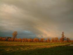 Łąki nad Orzycem - Anna Krzeszowiec.jpg