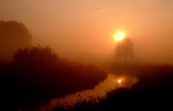 - Anna Krzeszowiec.jpg